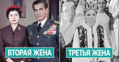 Почему Мохаммед Реза Пехлеви вошел в историю, как самый неудачливый монарх, и чем восхищают его прекрасные жены - takprosto.cc - Иран