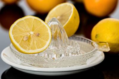 Как «вернуть к жизни» засохший лимон: простой способ, о котором многие не догадываются - belnovosti.by