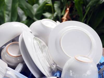 Как без проблем смыть жир с посуды в холодной воде: наиболее быстрый, дешевый и экологичный способ - belnovosti.by