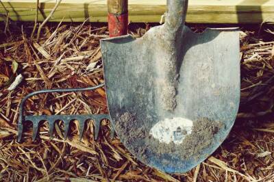 Чем обработать черенок лопаты, чтобы не было мозолей во время копки огорода - belnovosti.by