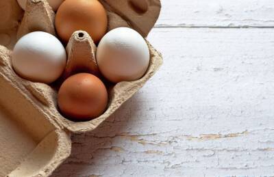 Как улучшить состояние кожи с помощью обычных яиц: полезные хитрости - belnovosti.by