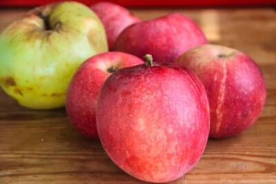 Понадобится яблоко: как очистить кастрюлю от толстого слоя нагара и жира - belnovosti.by