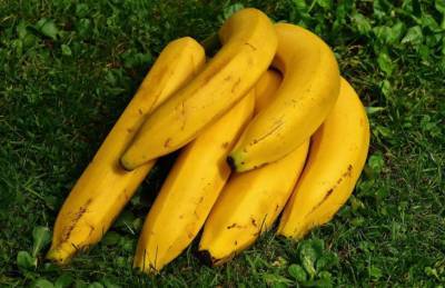 Как продлить "жизнь" бананам: полезные лайфхаки - belnovosti.by