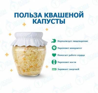 ​Улучшаем пищеварение квашеной капустой - polsov.com