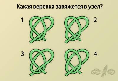 Визуальная головоломка: Какая веревка завяжется в узел? - flytothesky.ru