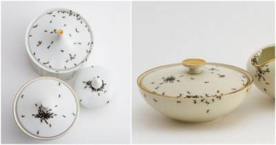 Эксклюзивная посуда: почему чашки с муравьями стоят так дорого - cpykami.ru - Германия