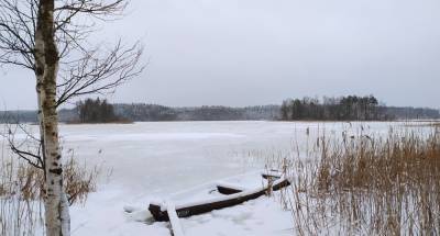 Отпуск в январе: где отдохнуть в Беларуси зимой? - shkolazhizni.ru - Белоруссия