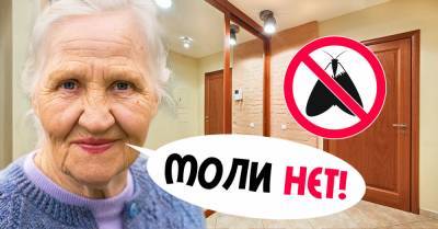 Бабушкины советы, чтобы одежда не пахла плесенью и не кормила моль - takprosto.cc