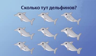 Визуальная головоломка: Сколько дельфинов вы видите на картинке? - flytothesky.ru