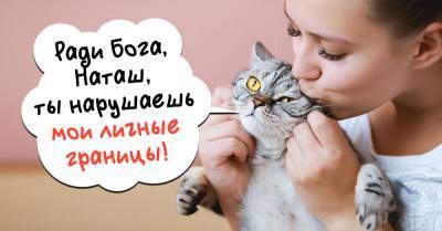 За что сердятся коты, когда мы их целуем - takprosto.cc