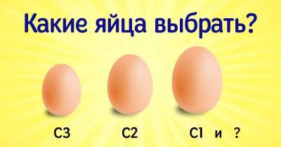 Чем яйца в крупных сетевых магазинах огорчают владельцев торговых сетей - takprosto.cc