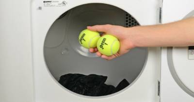 Почему стоит класть теннисные мячи в стиральную машину: 3 причины - novate.ru