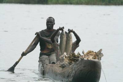 Природа Африки: чем уникально болото Судд? - shkolazhizni.ru - Судан