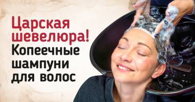 Копеечные шампуни для тех, у кого волосопад и волосы быстро салятся - takprosto.cc