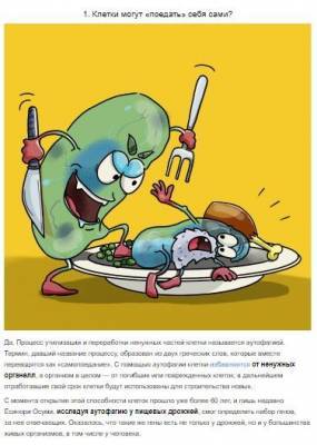 Как голодание продлевает молодость - polsov.com