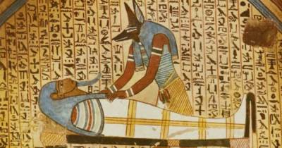 Куда исчезли животные из Египта, если они изображены на древних рисунках - novate.ru - Египет