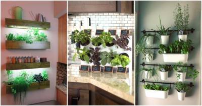 12 уютных и полезных примеров из Instagram, которые вдохновят ваш сделать мини сад на кухне - cpykami.ru