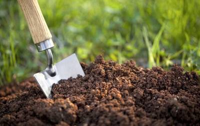 Как определить кислотность почвы в домашних условиях? Самый простой способ - nashsovetik.ru