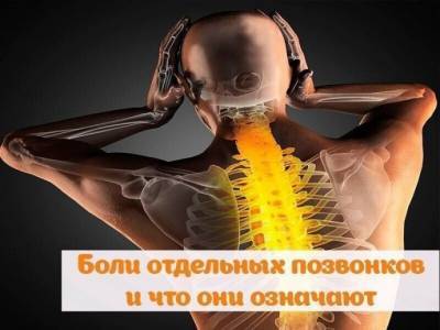 ​Боли отдельных позвонков и что они обозначают - polsov.com