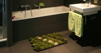 Зачем нужен живой коврик для ванны из мха, плюсы и минусы изделия - novate.ru - Швейцария