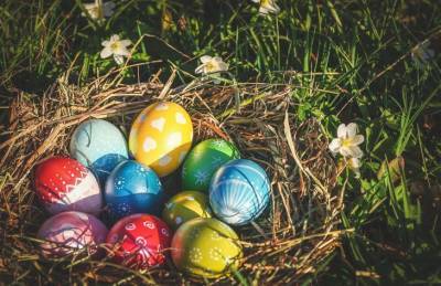 Как выбрать качественные яйца к Пасхе: 5 моментов, на которые стоит обратить внимание - belnovosti.by