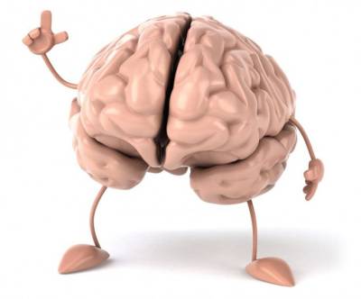 Когда наш мозг способен на максимум проявлять работоспособность - polsov.com