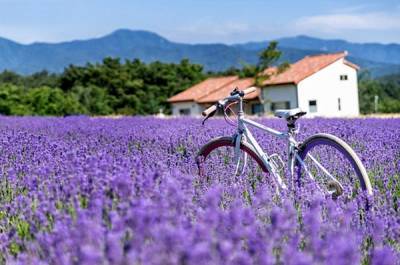 Как выглядит самое фиолетовое место на Земле? (фото) - garmoniazhizni.com