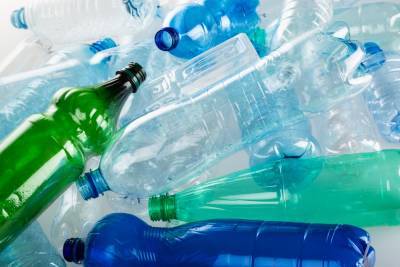 Пустые пластиковые бутылки: как их использовать в приусадебном хозяйстве? - shkolazhizni.ru