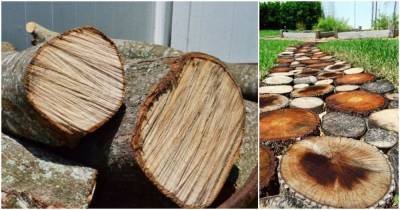Лучшее решение для сада — деревянная садовая дорожка - cpykami.ru