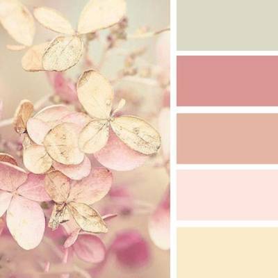 ​С какими цветами красиво сочетается нежно-розовый - polsov.com