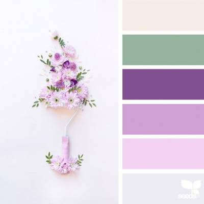 ​С какими цветами красиво сочетается нежно-лиловый - polsov.com