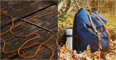 Как простая швейная игла может стать спасением в лесу или туристическом походе - novate.ru