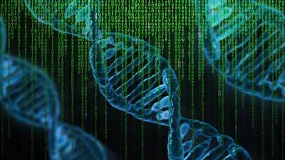 Генетика: как гены влияют на характер и судьбу человека - new-lifehuck.ru
