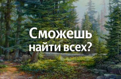 Сможете найти всех медведей на изображении? - flytothesky.ru