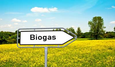 Что такое биогаз и как его получить? - shkolazhizni.ru