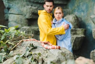 Как избежать укуса змеи во время отдыха на природе? - shkolazhizni.ru