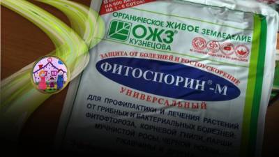 Без заголовка - liveinternet.ru