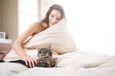 На что обращать внимание, если кошка спит с вами в одной постели? - shkolazhizni.ru