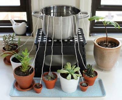6 простых систем полива комнатных растений на время отпуска, которые уберегут растения от пересыхания - nashsovetik.ru