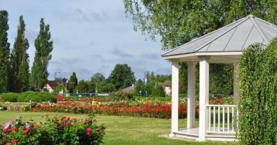 17 июля в Национальном ботаническом саду в Саласпилсе состоится ярмарка "День роз" - rus.delfi.lv