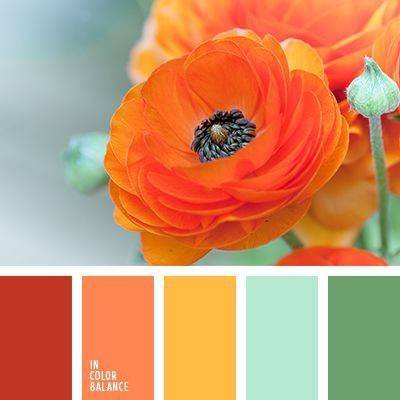 ​Как красиво сочетать оранжевый цвет с другими цветами - polsov.com