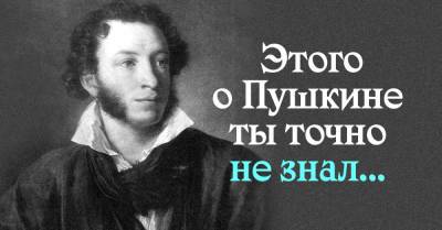 Что о Пушкине не рассказывают в школах принципиально - takprosto.cc