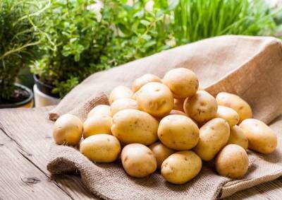 Как быстро очистить молодой картофель без ножа? 2 простых способа - nashsovetik.ru