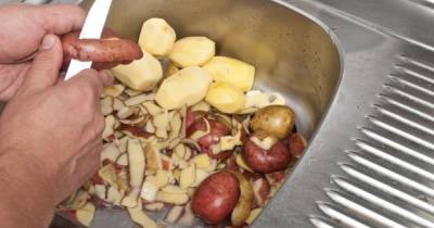 Почему не нужно выкидывать картофельные очистки и как они могут пригодиться в хозяйстве - novate.ru