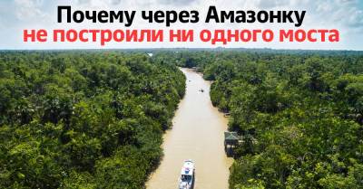 Почему нет смысла строить мост через Амазонку - takprosto.cc - Бразилия - Колумбия