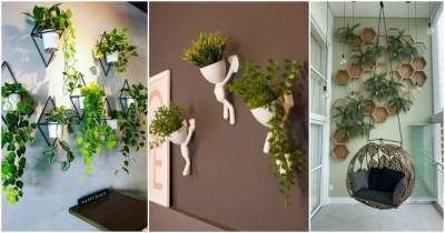 Красивые варианты вертикального озеленения для небольших комнат - cpykami.ru