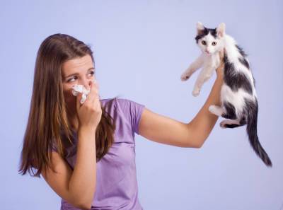 Что нужно знать, если у вас появилась аллергия на животных? - shkolazhizni.ru