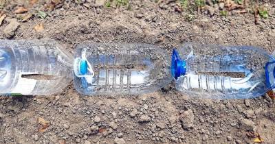 Собирайте 5-литровые пластиковые бутылки и оформите красоту на участке - cpykami.ru