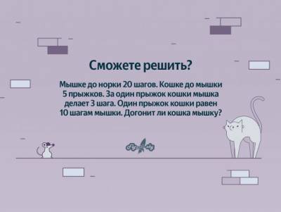 Сможет ли мышка догнать кошку? - flytothesky.ru