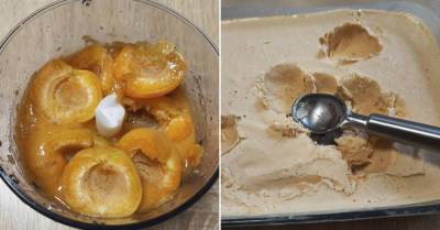 Домашнее мороженое с абрикосами без перемешивания и ощущения снега или льда - takprosto.cc
